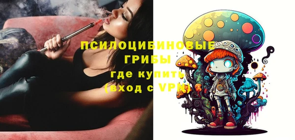 прущий лед Алексеевка